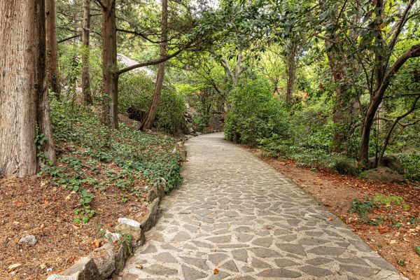Stone Walkway Repair in Raleigh