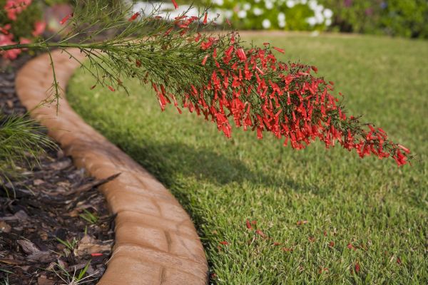 Brick Edging in Raleigh