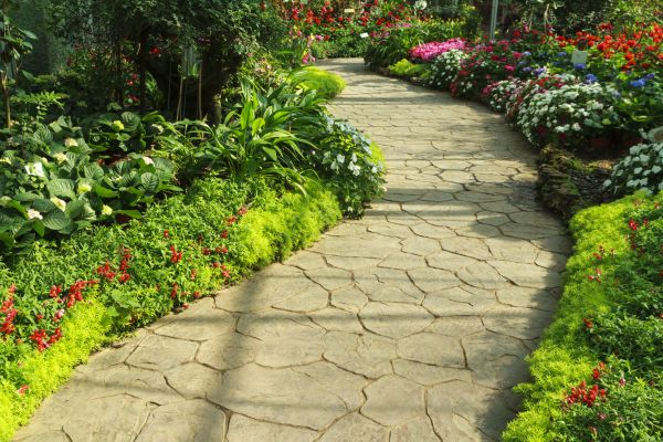 Stone Pathway Repair in Raleigh