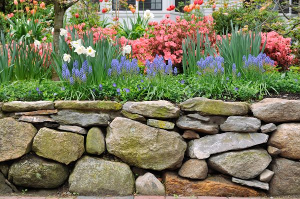 Stone Wall Hardscaping in Raleigh