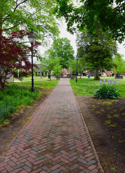 Brick Pathway Repair in Raleigh