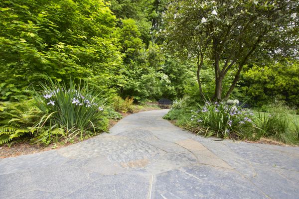 Stone Hardscape Service in Raleigh