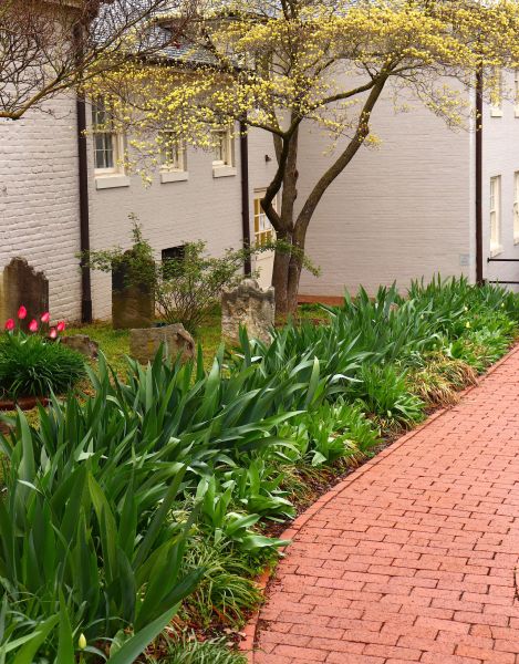 Brick Flatwork Repair in Raleigh